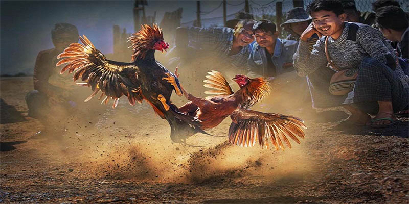 kudv xổ số bữa nay