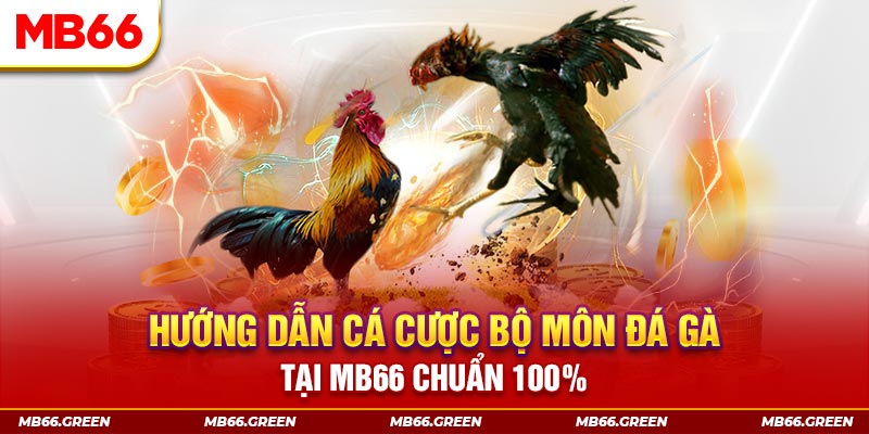 kudv slot là gi