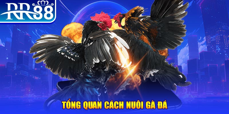 kudv game nổ hũ rút tiền mặt là gì