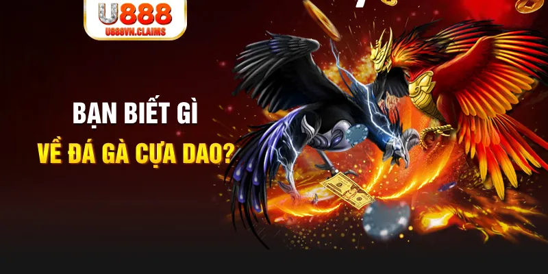 kudv SW Xổ Số