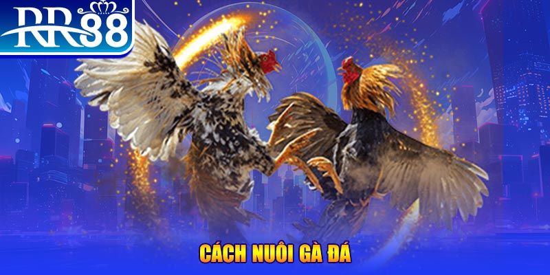 kudv đăng nhập phỏm đổi thưởng