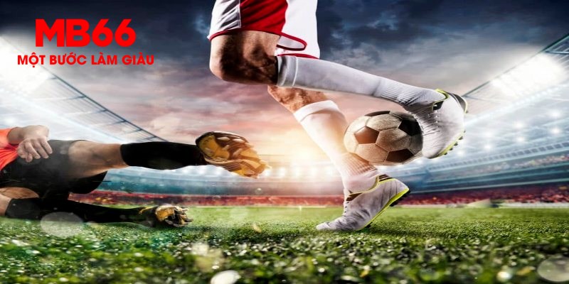 kudv trực tiếp đá gà thomo