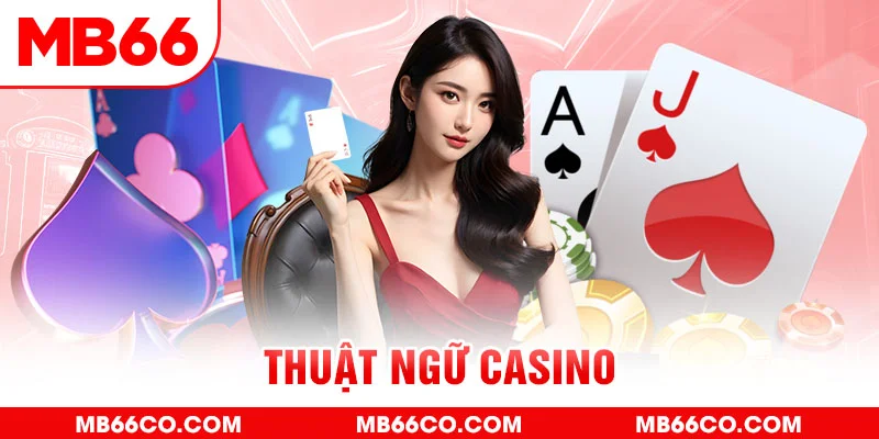 kudv gà chọi c1 mới nhất
