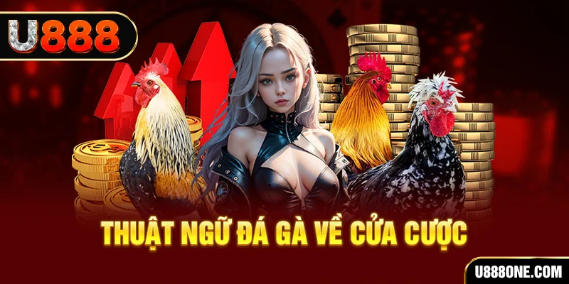 kudv hơn cả bạn bè