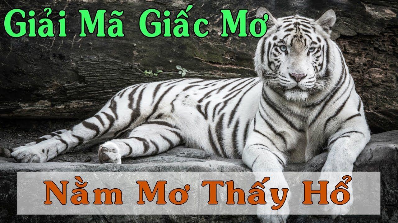 kudv nổ hũ là game gì