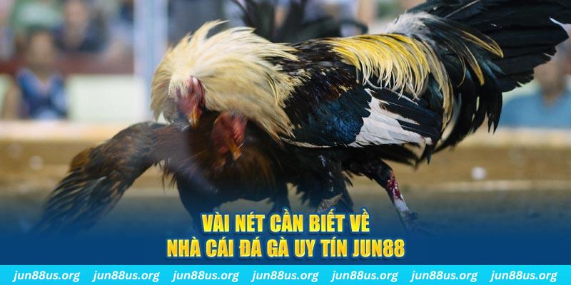 kudv đăng nhập phỏm khuyến mãi