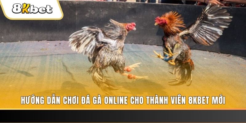 kudv JILI Game Bài 3d