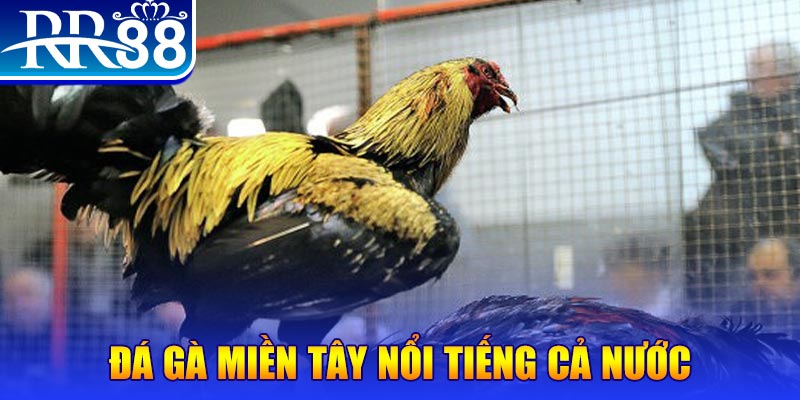 kudv xổ số đại phát