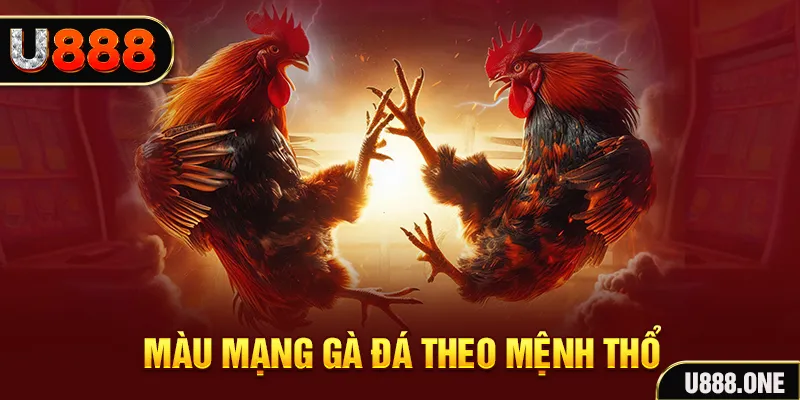 kudv đăng nhập sòng bạc hàng đầu