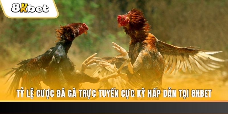 kudv đăng nhập mậu binh online