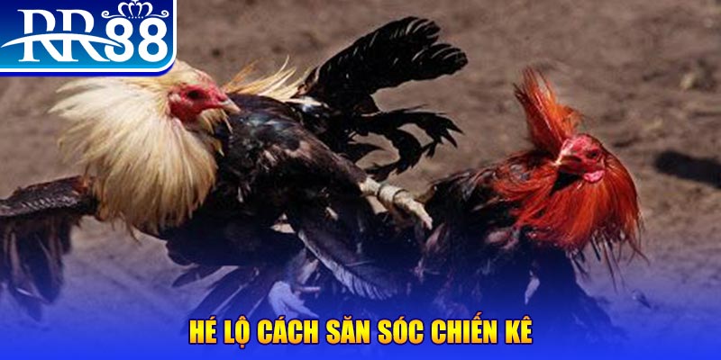 kudv xổ số miền trung thứ tư