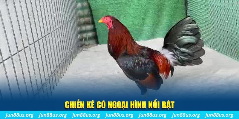 kudv game bắn cá