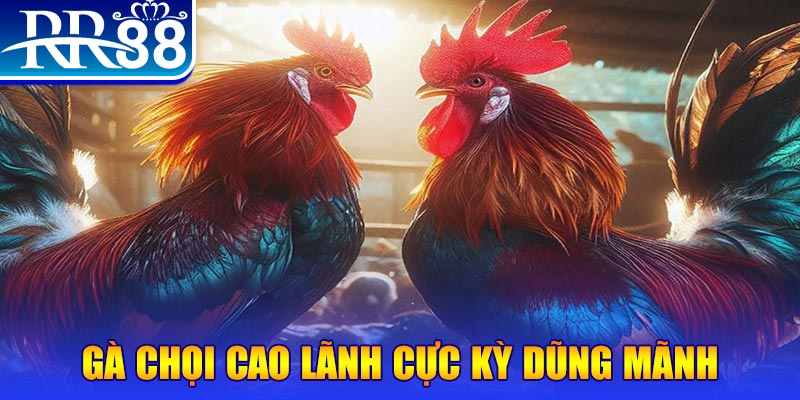 kudv HB Điện Tử
