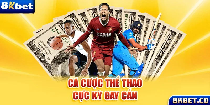 kudv xem đá gà trực tiếp
